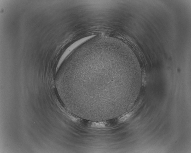 X0000067480573200604071142