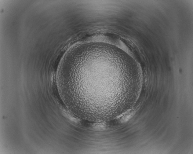 X0000067480574200604071142