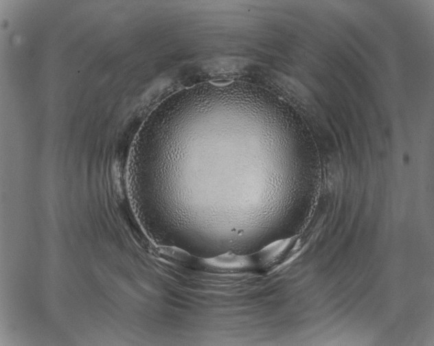 X0000067480575200604071142