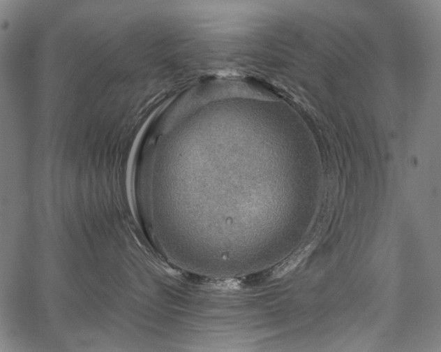 X0000067480576200604071142