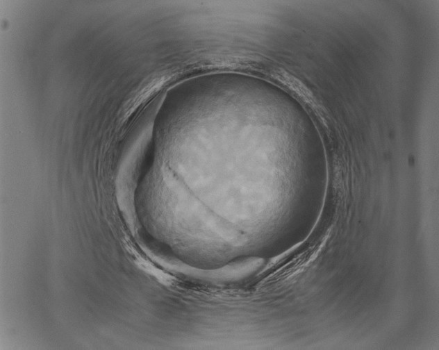 X0000067480577200604071141