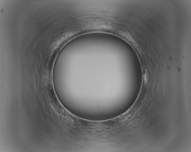 X0000067480579200604071141