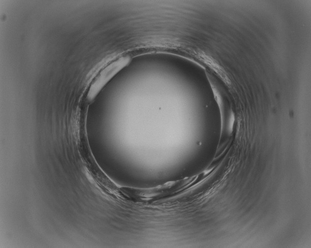 X0000067480580200604071141