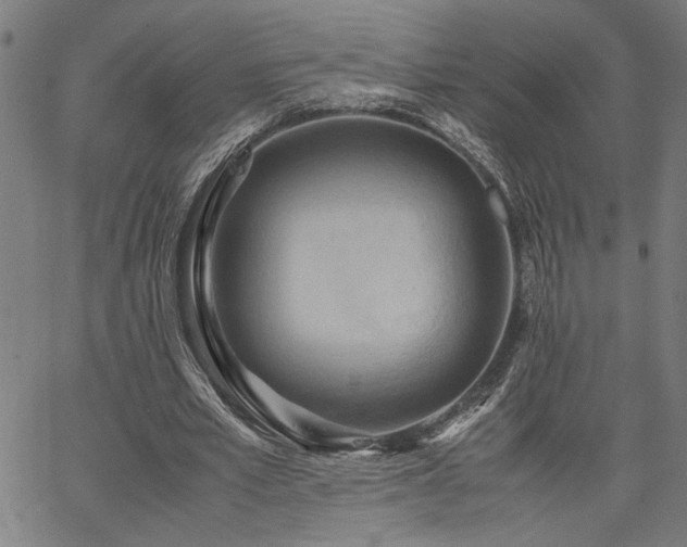 X0000067480581200604071141