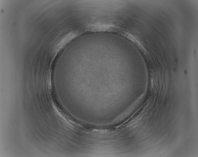 X0000067480582200604071141