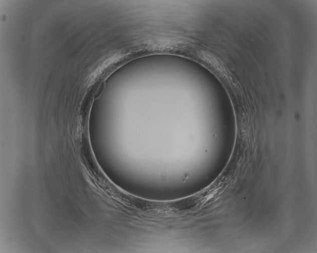 X0000067480583200604071141