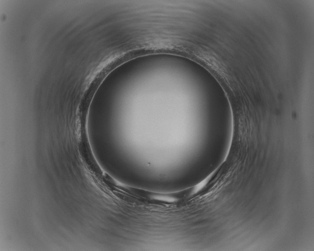 X0000067480584200604071141