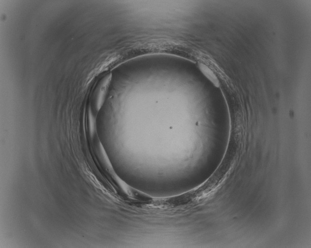 X0000067480585200604071141