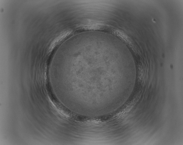 X0000067480586200604071141