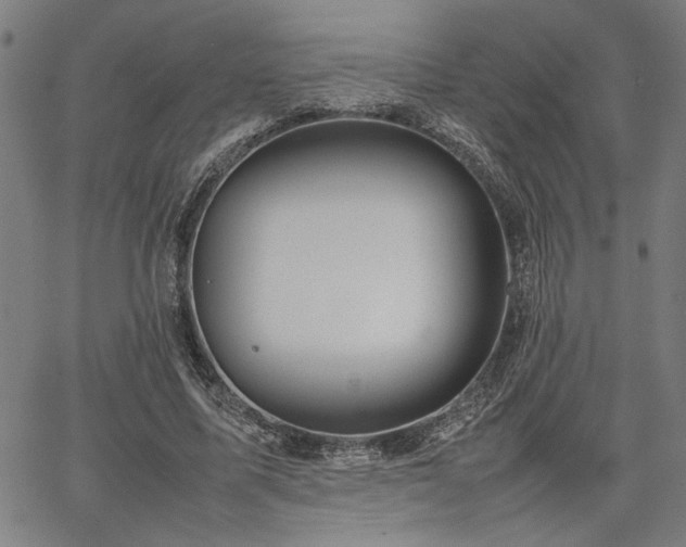 X0000067480587200604071141