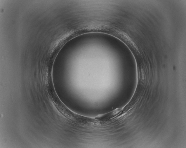 X0000067480588200604071141