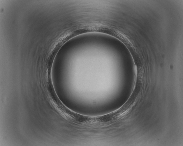 X0000067480589200604071141