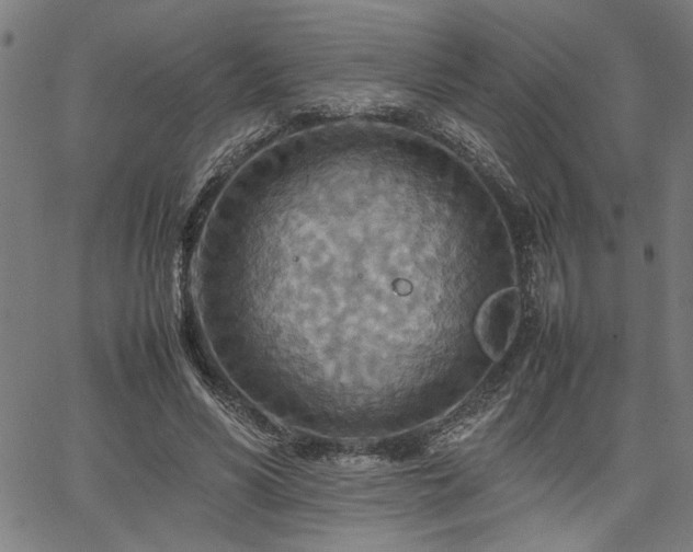 X0000067480590200604071141