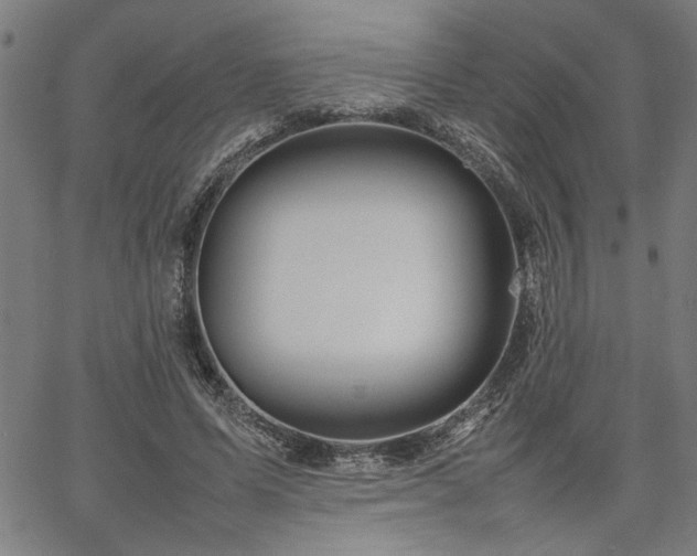 X0000067480591200604071141