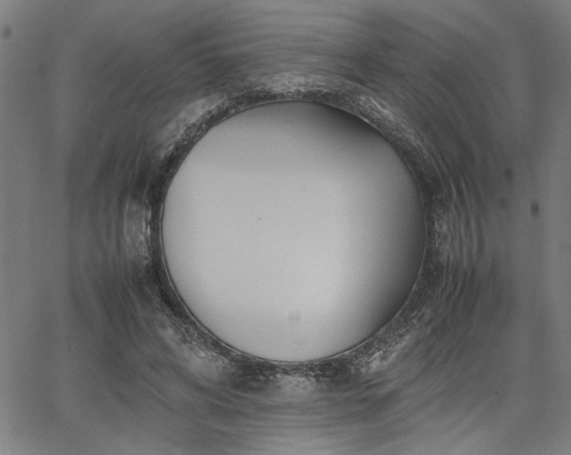 X0000067480592200604071141