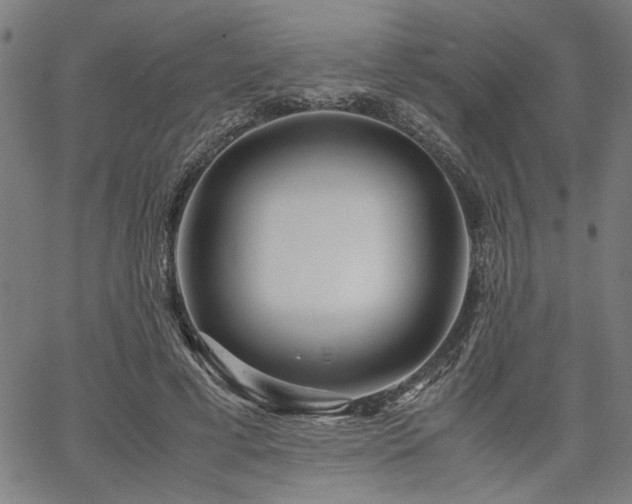 X0000067480593200604071141