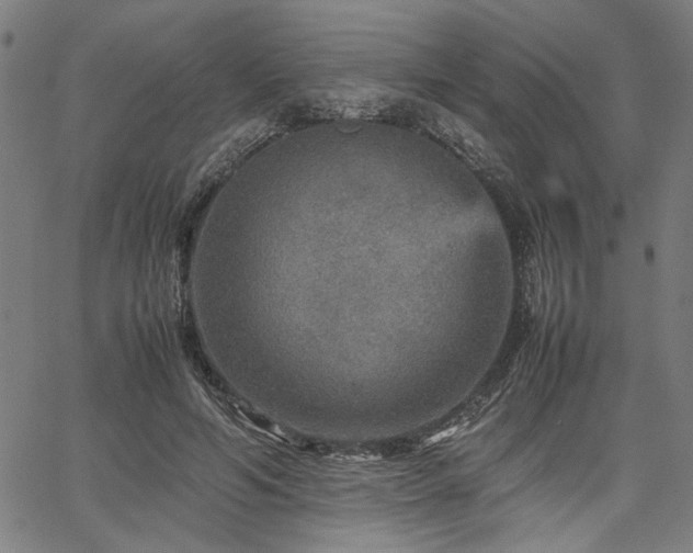 X0000067480594200604071141