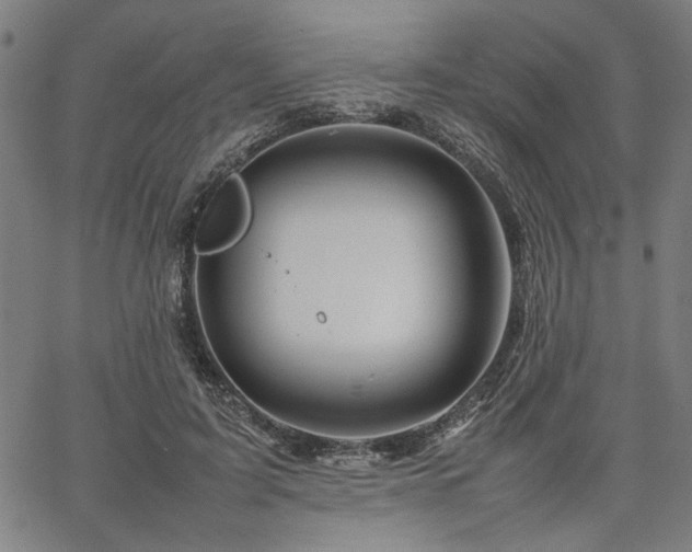 X0000067480595200604071141