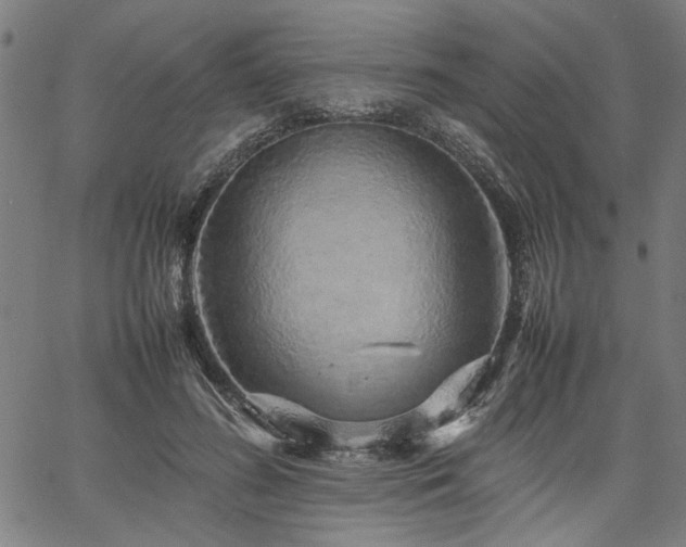 X0000067480596200604071141