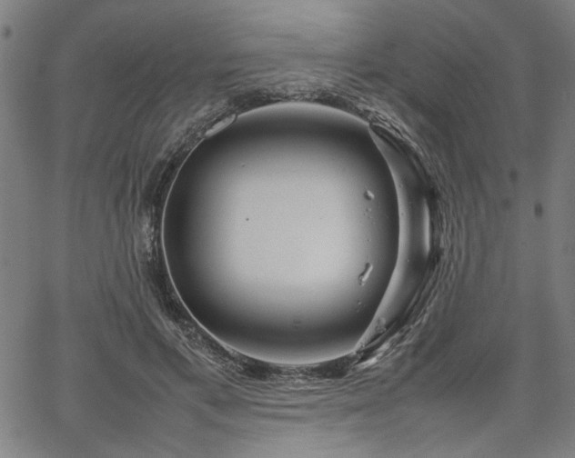 X0000067480597200604071141