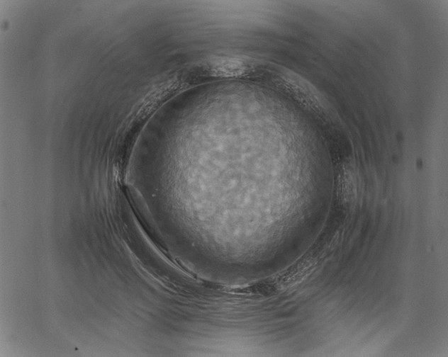 X0000067480598200604071141