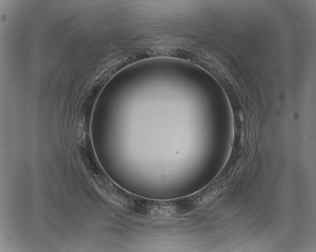 X0000067480599200604071141