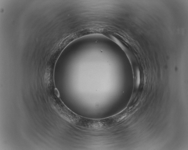 X0000067480600200604071141