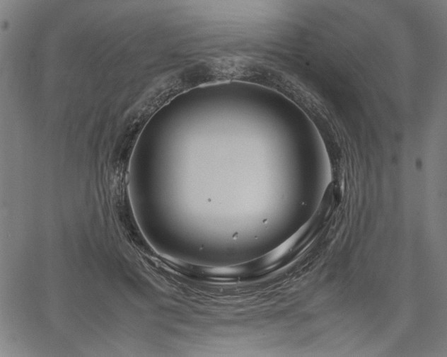 X0000067480601200604071141