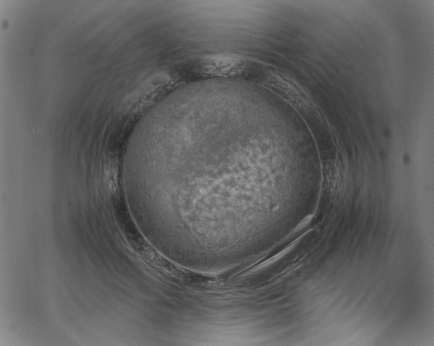 X0000067480602200604071141