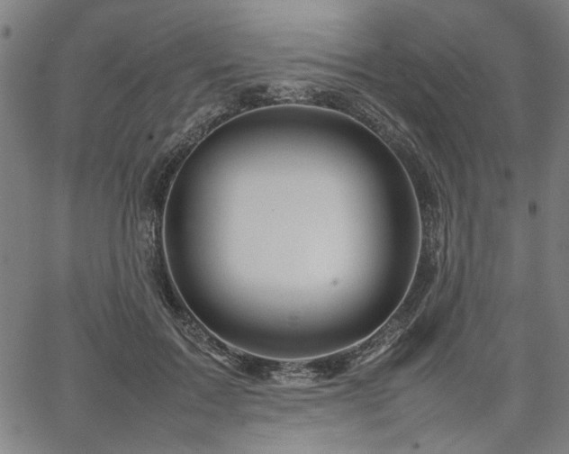 X0000067480603200604071141