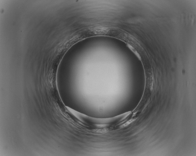 X0000067480604200604071141