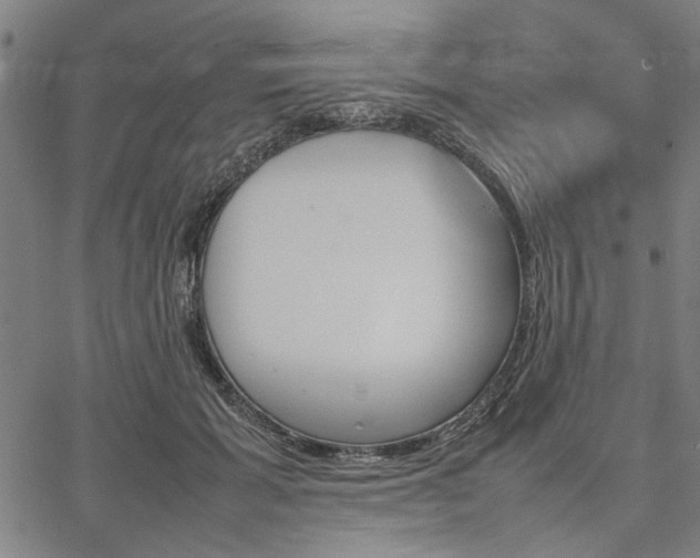 X0000067480605200604071141