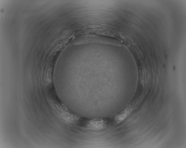 X0000067480606200604071141