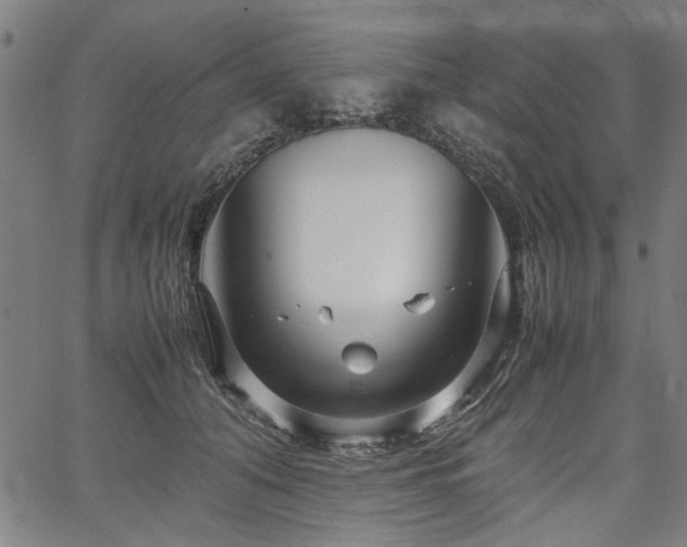 X0000067480608200604071140