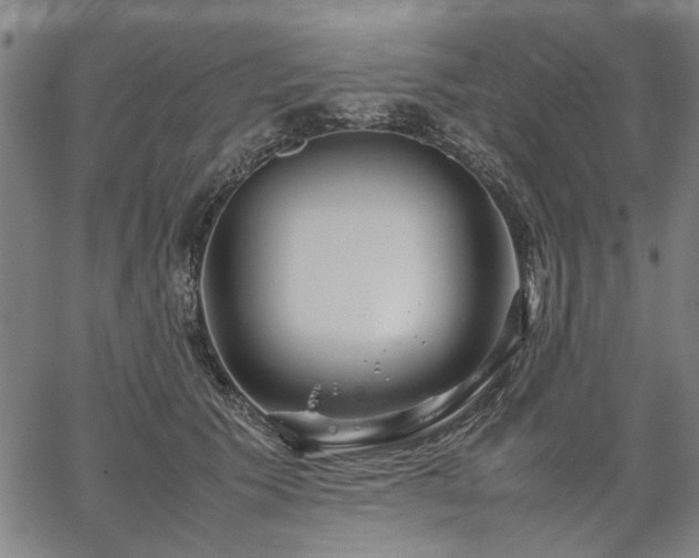 X0000067480609200604071140