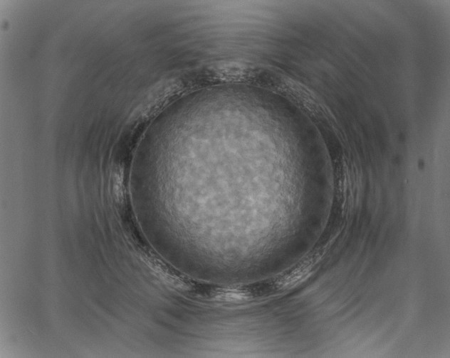 X0000067480610200604071140