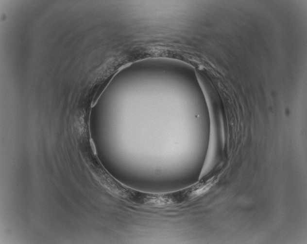 X0000067480611200604071140