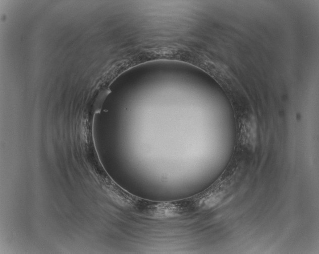 X0000067480612200604071140