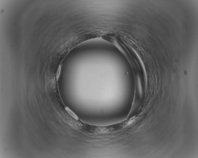 X0000067480613200604071140