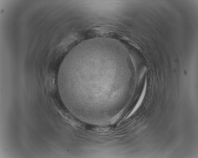 X0000067480615200604071140