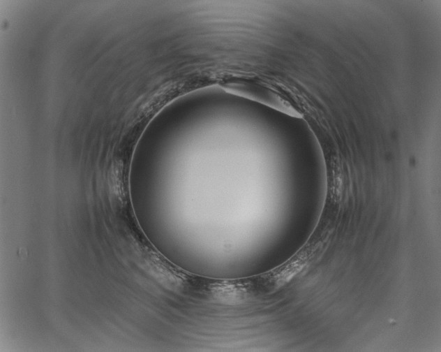 X0000067480616200604071140