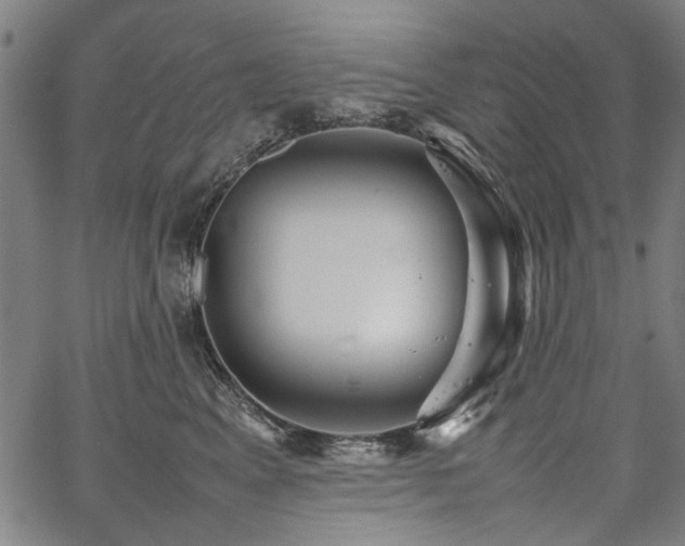 X0000067480617200604071140