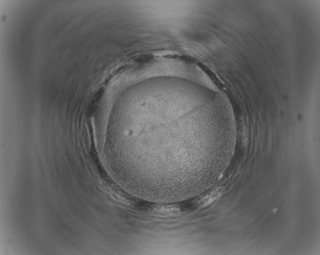 X0000067480619200604071140