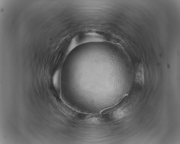 X0000067480620200604071140