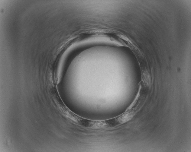 X0000067480621200604071140