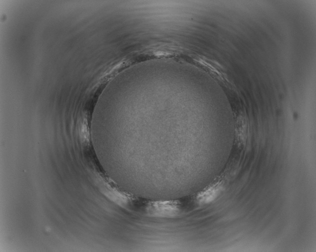 X0000067480622200604071140