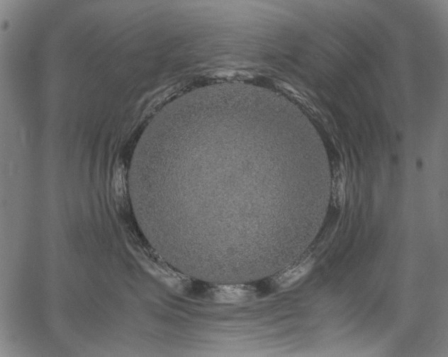 X0000067480623200604071140