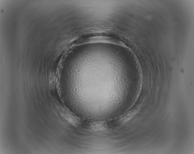 X0000067480624200604071140