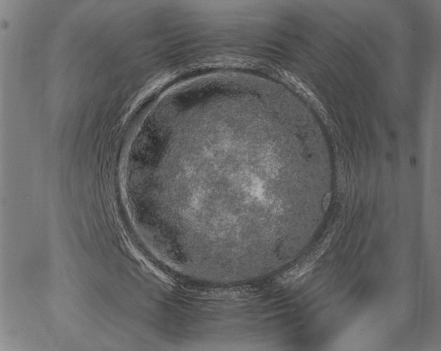 X0000067480625200604071139