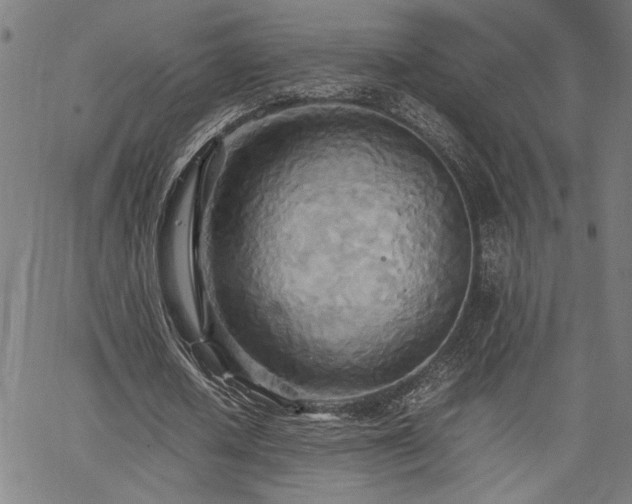 X0000067480626200604071139